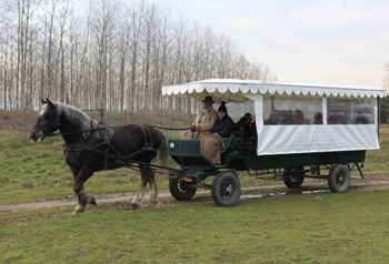 San Rossore in Carrozza